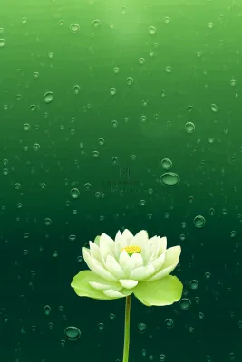 中国风传统绿色莲花简约背景