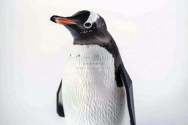 冰雪天地的企鹅寒冷动物摄影图