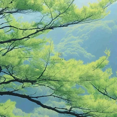 绿色的树冠特写