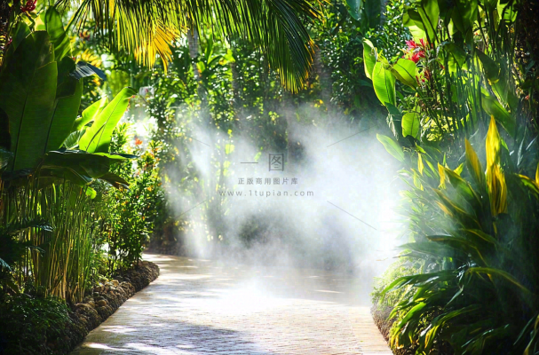 热带植物园绿植摄影图 热带植物园绿植摄影图