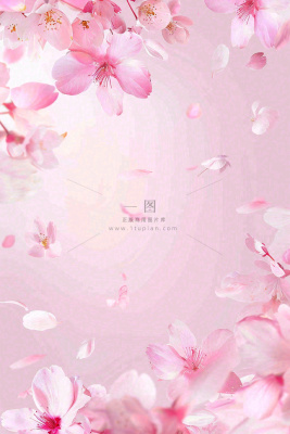 粉色樱花桃花花瓣飘落唯美浪漫春天春分情人七夕背景 粉色樱花桃花花瓣飘落唯美浪漫春天春分情人七夕背景
