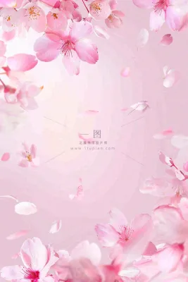 粉色樱花桃花花瓣飘落唯美浪漫春天春分情人七夕背景 粉色樱花桃花花瓣飘落唯美浪漫春天春分情人七夕背景