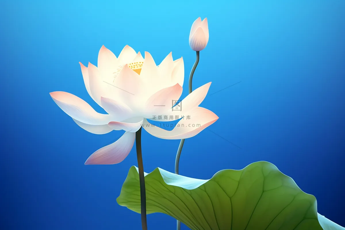蓝色简约大气荷花意境背景