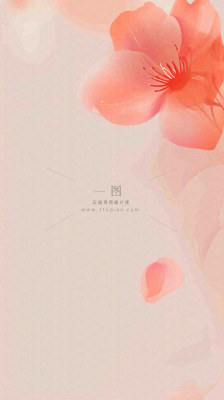 简约花朵鲜花纹理背景 简约花朵鲜花纹理背景