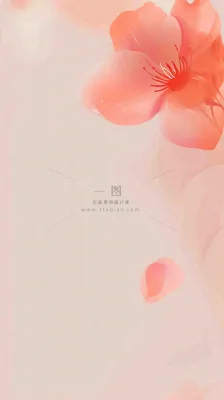 简约花朵鲜花纹理背景 简约花朵鲜花纹理背景