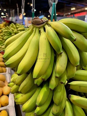 香蕉成熟水果摄影图