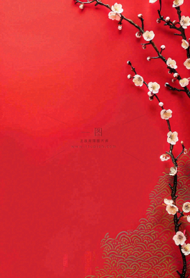 红色国风背景梅花花朵插画元旦背景
