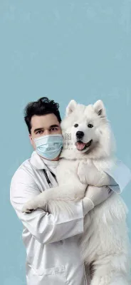萌宠宠物医院医生抱着狗狗摄影图背景 萌宠宠物医院医生抱着狗狗摄影图背景