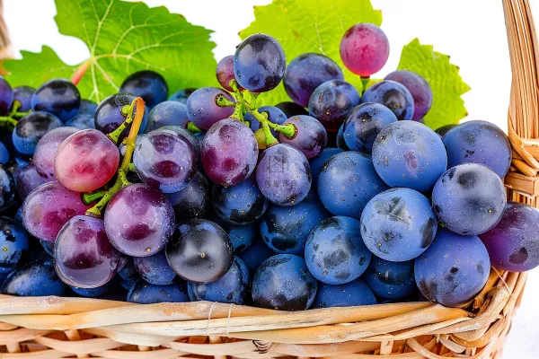 葡萄水果摄影图