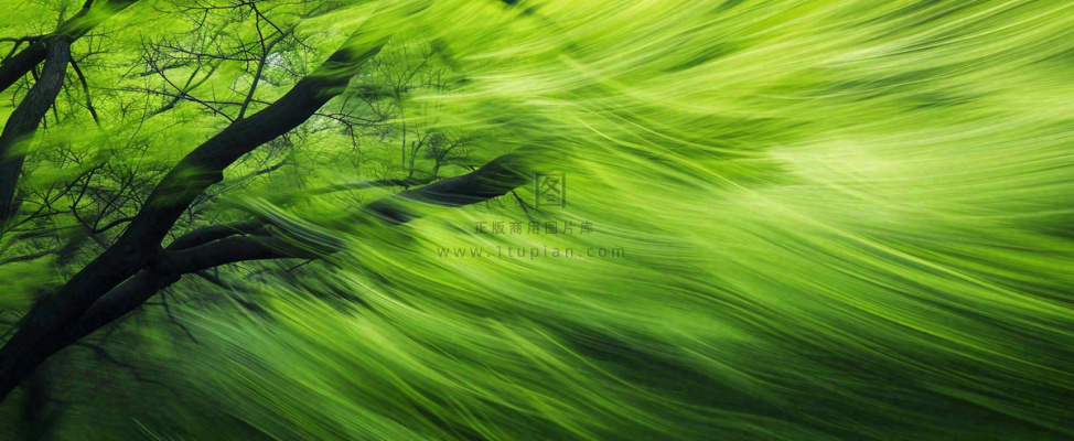 绿色植物树木绚丽虚幻背景