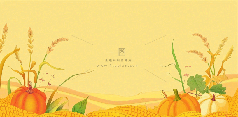 世界粮食日稻谷麦穗秋收卡通插画芒种秋分背景 世界粮食日稻谷麦穗秋收卡通插画芒种秋分背景