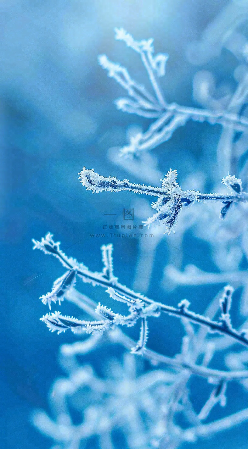 冬天寒冷白雪结冰大寒摄影图