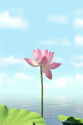 清新阳光荷花荷叶天空白云背景