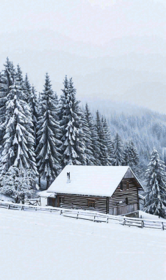 冬天寒冷白雪结冰大寒摄影图 冬天寒冷白雪结冰大寒摄影图