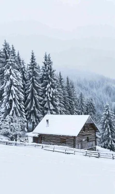 冬天寒冷白雪结冰大寒摄影图 冬天寒冷白雪结冰大寒摄影图