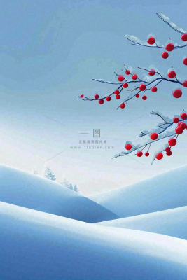 冬天雪山白霜红色果实覆盆子霜降寒露背景