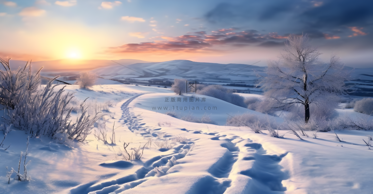 茫茫的雪原清晨日出霞光普照摄影图