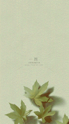 简约绿色叶子影子纹理 简约绿色叶子影子纹理