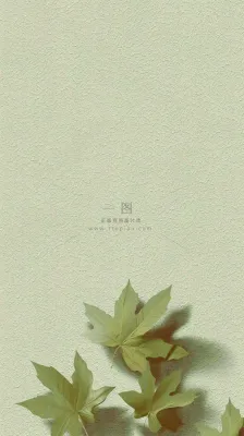 简约绿色叶子影子纹理 简约绿色叶子影子纹理