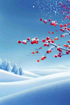 冬天雪山白霜红色果实覆盆子霜降寒露背景