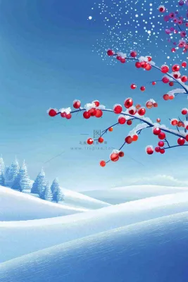 冬天雪山白霜红色果实覆盆子霜降寒露背景