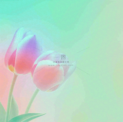 彩色简约鲜花花束郁金香渐变花朵 彩色简约鲜花花束郁金香渐变花朵