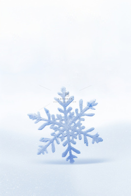 大雪雪花简约浪漫白色节气海报背景 大雪雪花简约浪漫白色节气海报背景