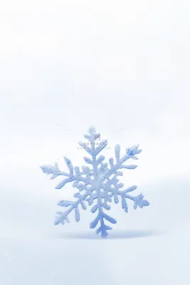 大雪雪花简约浪漫白色节气海报背景 大雪雪花简约浪漫白色节气海报背景