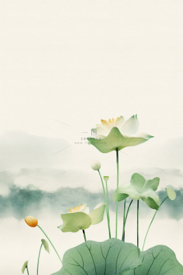中国风水墨简约荷花绿色节气海报背景