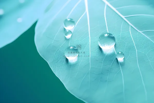 树叶露珠青色大气意境背景 树叶露珠青色大气意境背景