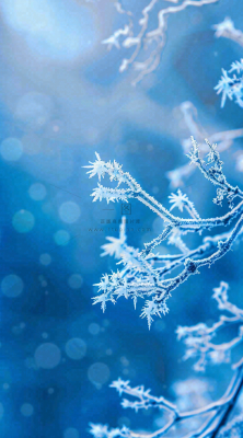 冬天寒冷白雪结冰大寒摄影图 冬天寒冷白雪结冰大寒摄影图