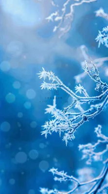 冬天寒冷白雪结冰大寒摄影图 冬天寒冷白雪结冰大寒摄影图