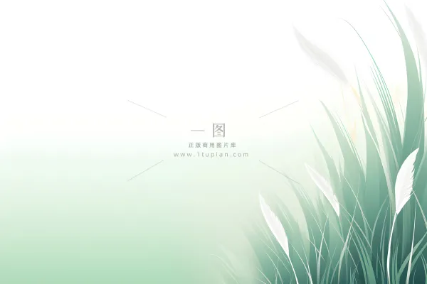 清新大气绿色芦苇羽毛背景
