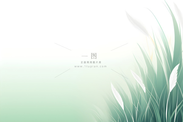 清新大气绿色芦苇羽毛背景 清新大气绿色芦苇羽毛背景