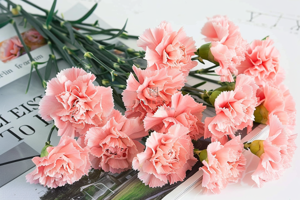 康乃馨鲜花花束摄影图