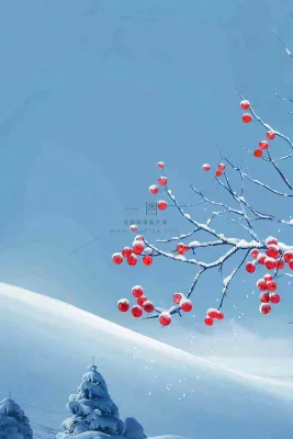 冬天雪山白霜红色果实覆盆子霜降寒露背景