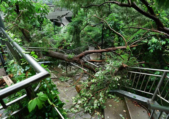 台风预警天气自然灾害