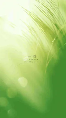 绿色清新阳光渐变背景,淡雅清爽 绿色清新阳光渐变背景,淡雅清爽