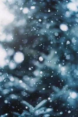 冬季下雪天寒冷树林松树小雪大雪小寒摄影图