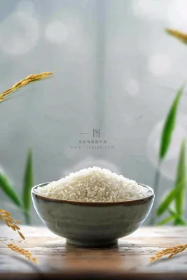 桌子上的米饭碗粮食珍惜粮食世界粮食日摄影图