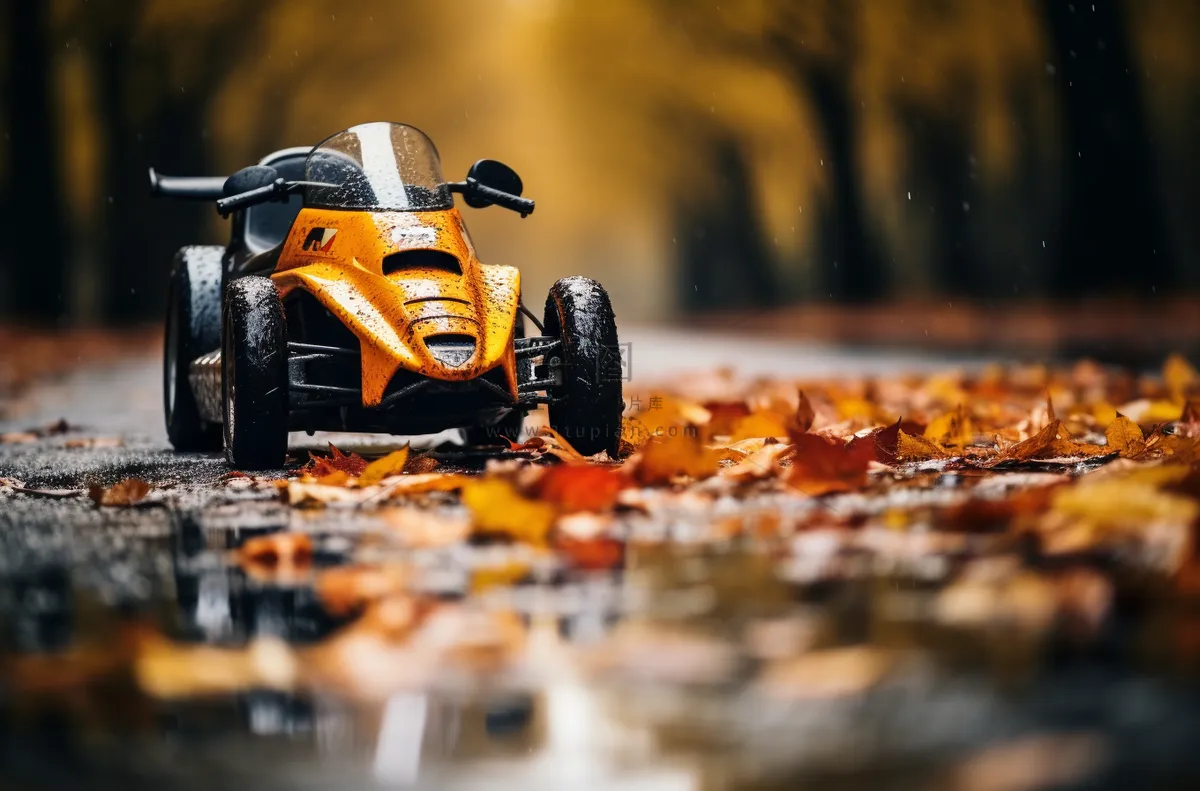 秋季道路上的落叶玩具赛车摄影图 