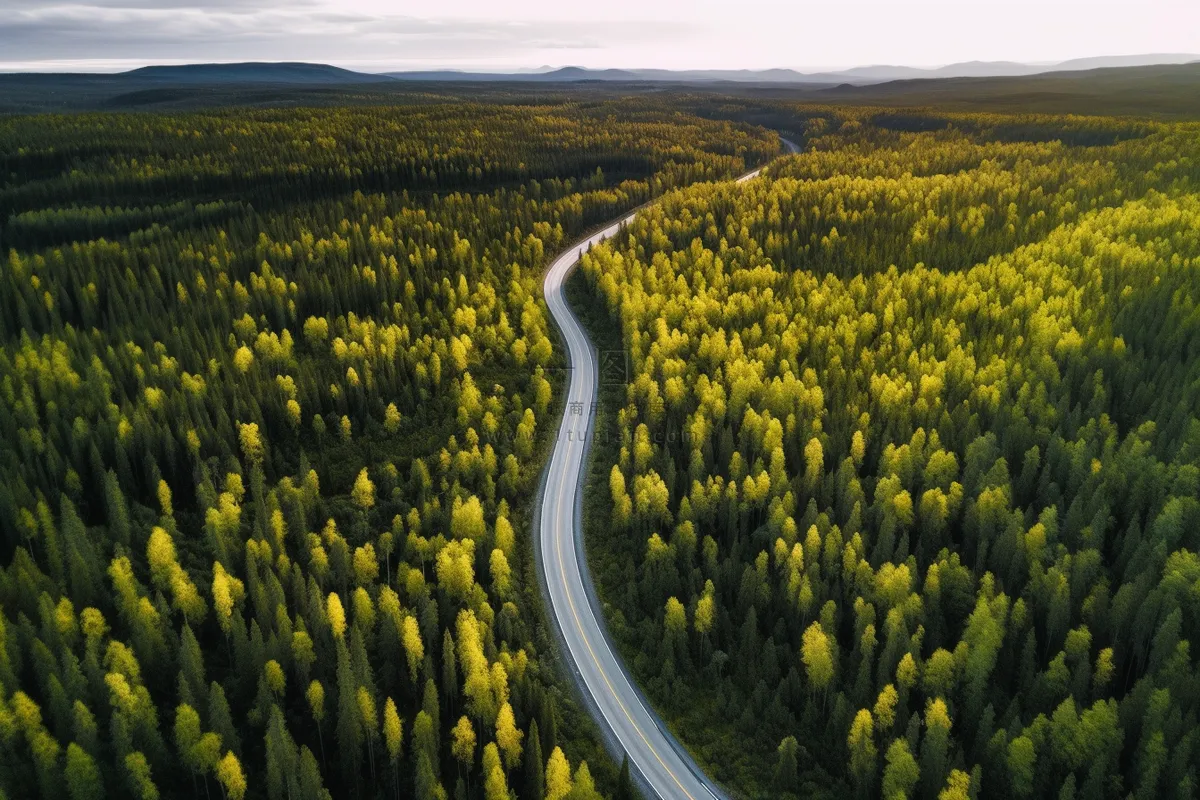 大片森林里的公路摄影图