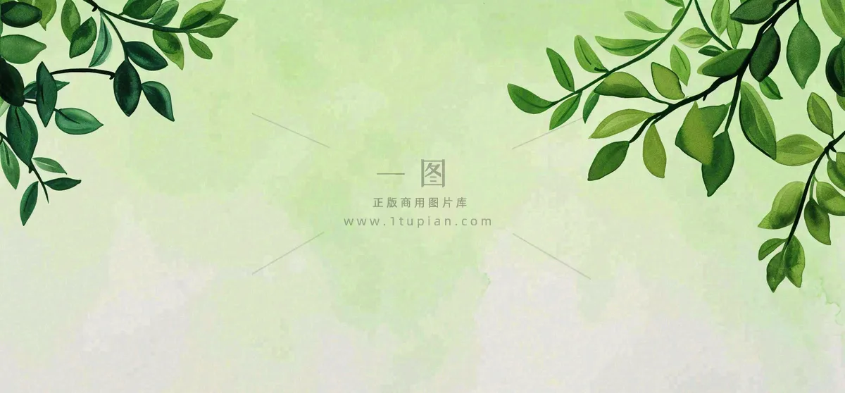 绿色简约绿植绿叶手绘插画笔墨意境