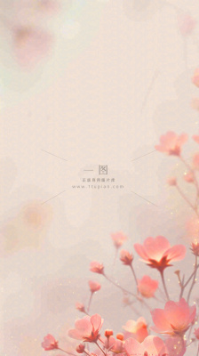 简约花朵鲜花纹理背景 简约花朵鲜花纹理背景