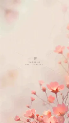 简约花朵鲜花纹理背景 简约花朵鲜花纹理背景