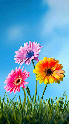 春天蓝天白云草坪鲜花，五彩缤纷鲜艳摄影图