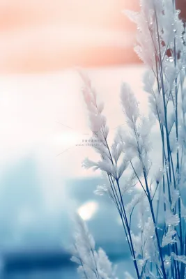 小雪粉蓝冬天冰枝叶节气海报背景 小雪粉蓝冬天冰枝叶节气海报背景