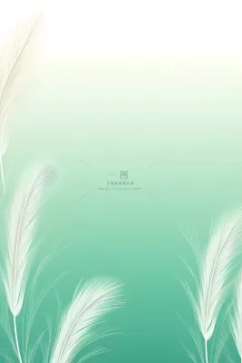 清新大气绿色芦苇羽毛背景