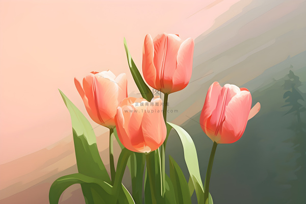 唯美淡雅清新郁金香背景 唯美淡雅清新郁金香背景