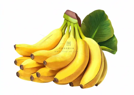 香蕉成熟水果摄影图 香蕉成熟水果摄影图